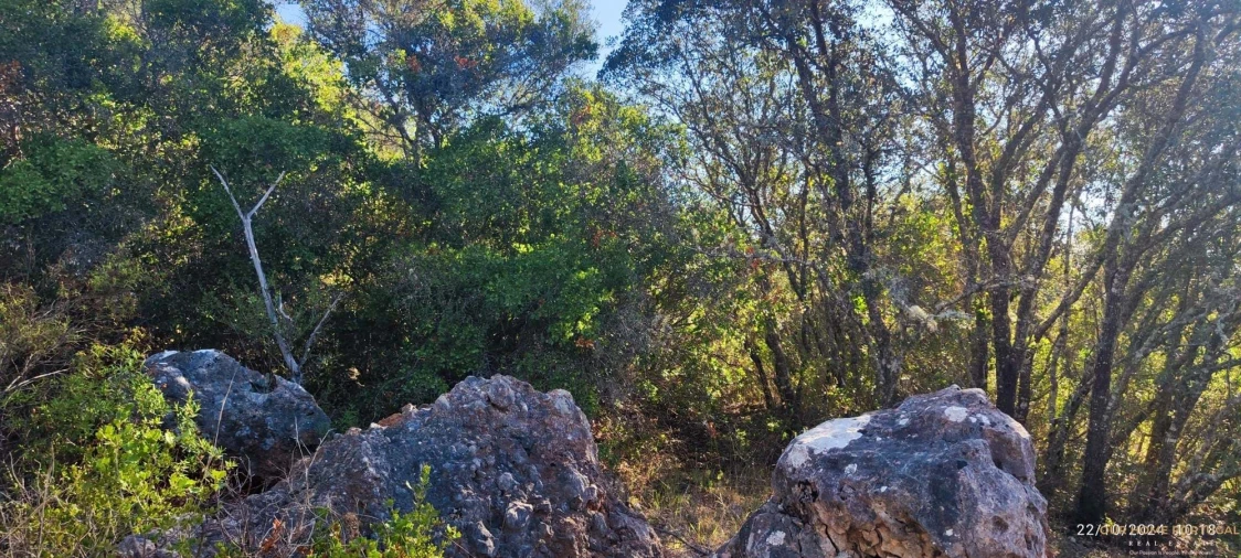 Terreno para Venda em Salir Foto 6