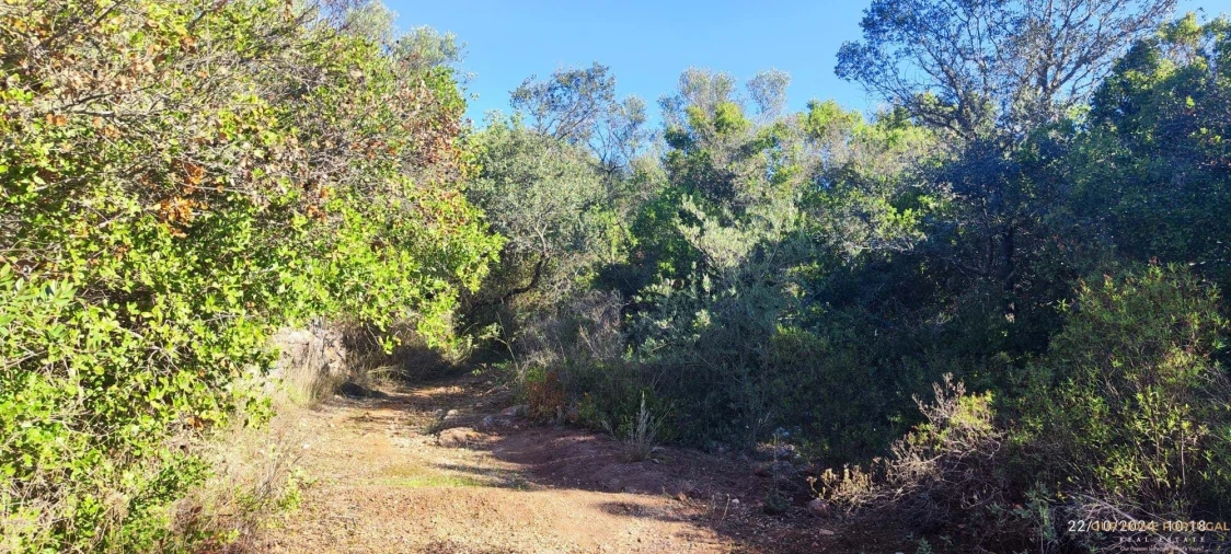 Terreno para Venda em Salir Foto 2