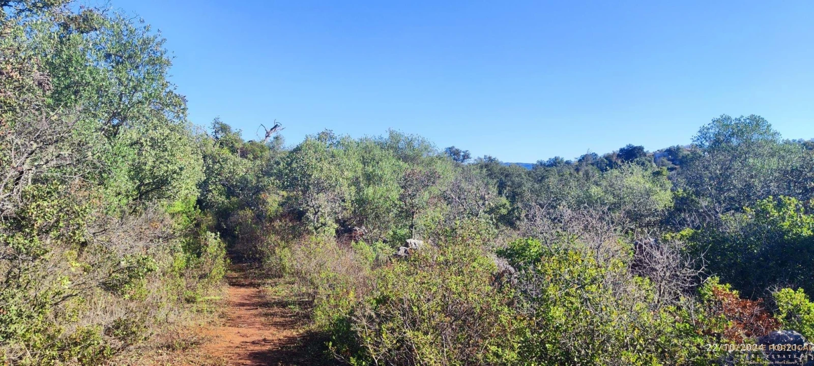 Terreno para Venda em Salir Foto 4