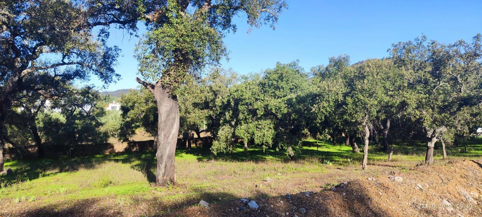 Terreno para Venda em Salir Foto 7