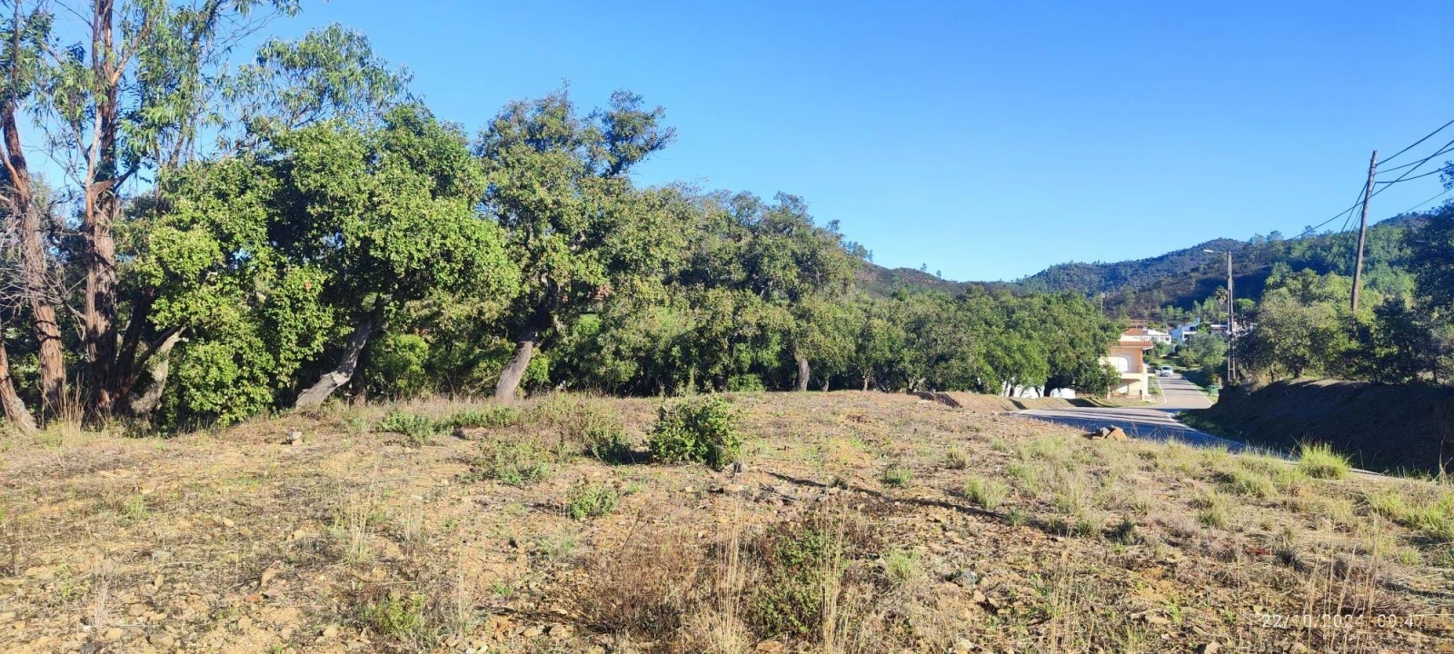 Terreno para Venda em Salir Foto 14