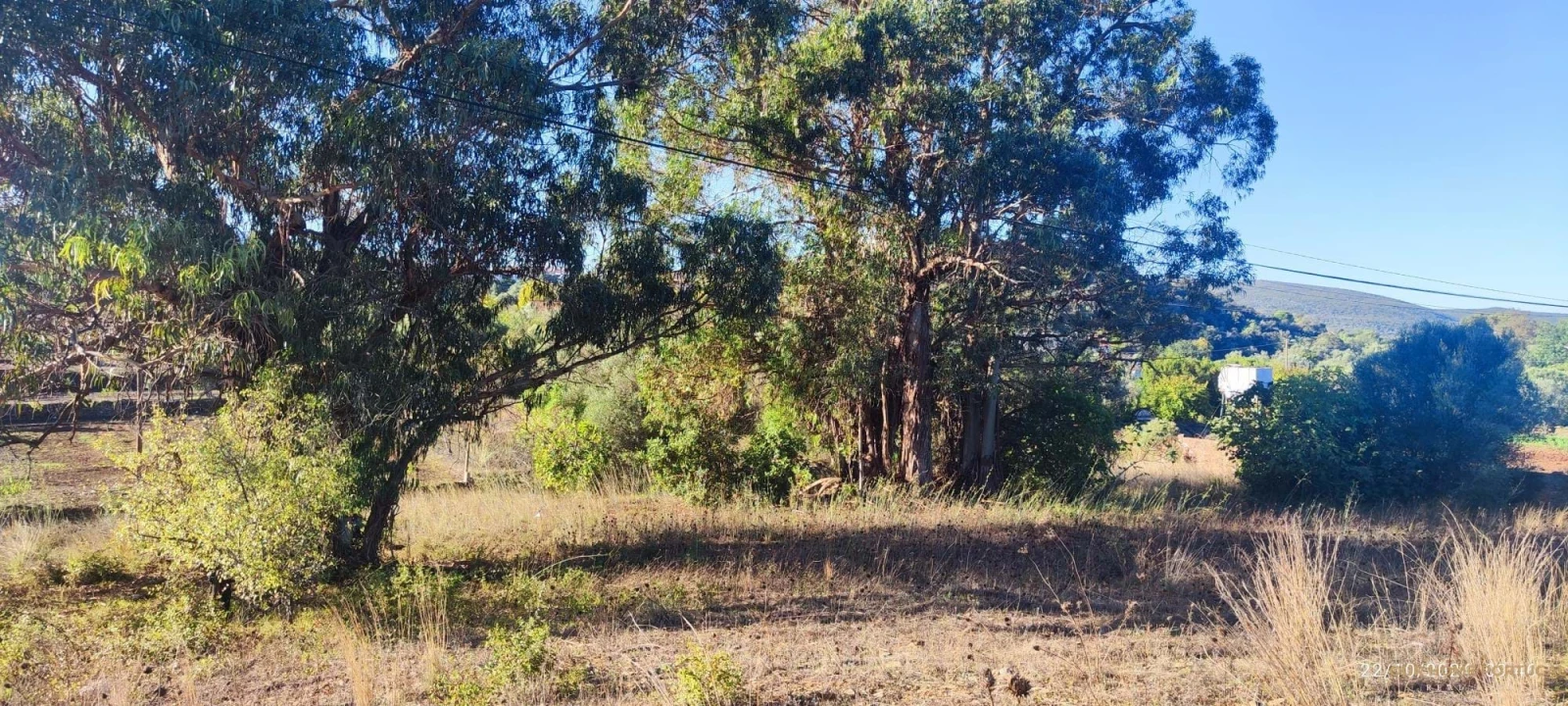 Terreno para Venda em Salir Foto 13