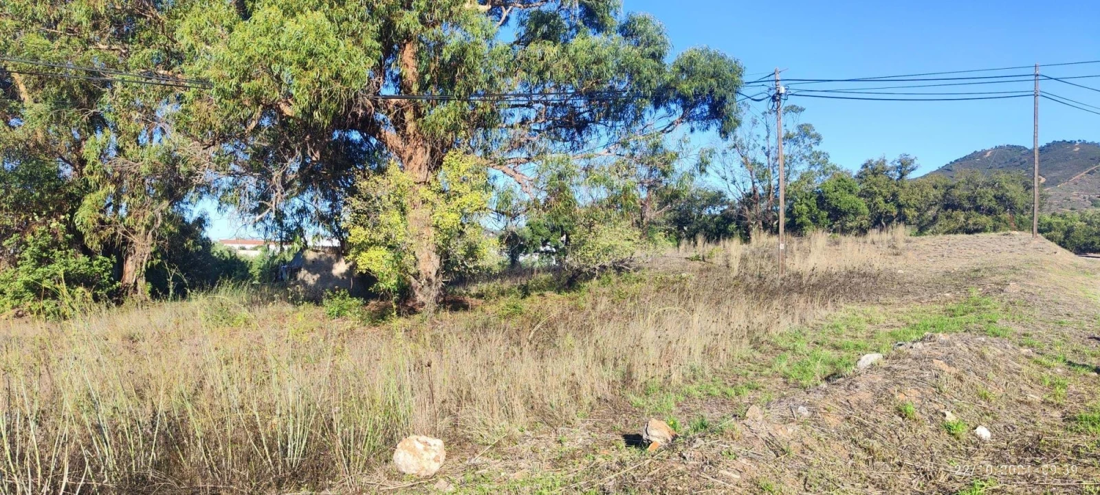 Terreno para Venda em Salir Foto 6