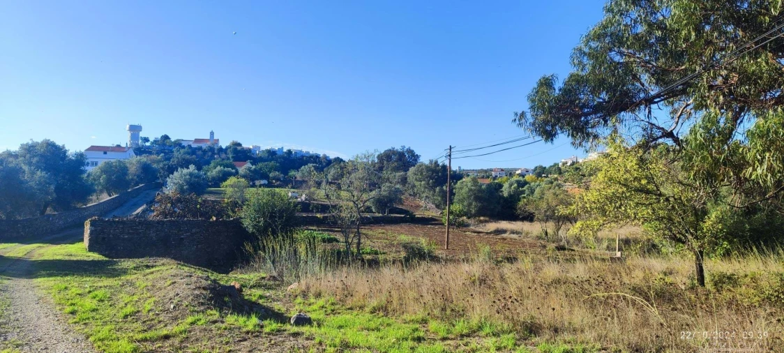 Terreno para Venda em Salir Foto 8