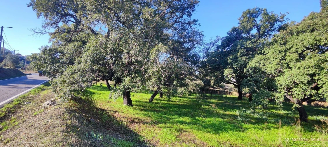Terreno para Venda em Salir Foto 1
