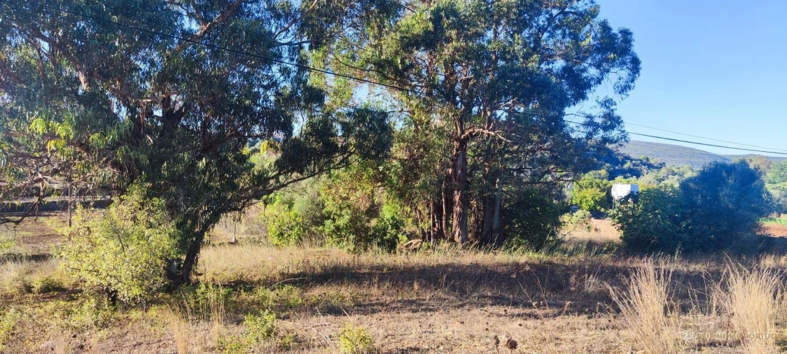 Terreno para Venda em Salir Foto 13