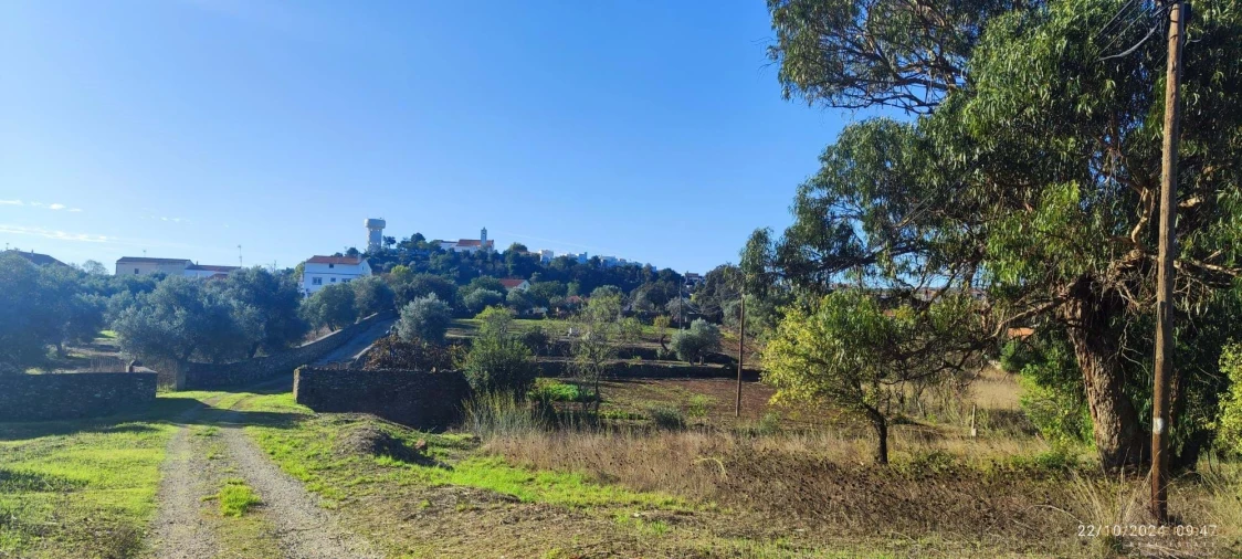 Terreno para Venda em Salir Foto 15