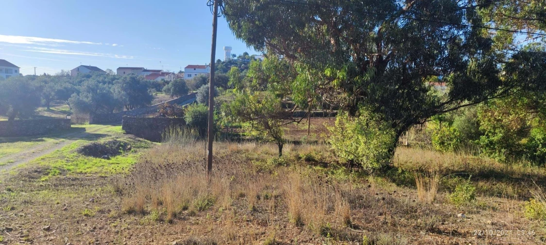 Terreno para Venda em Salir Foto 12