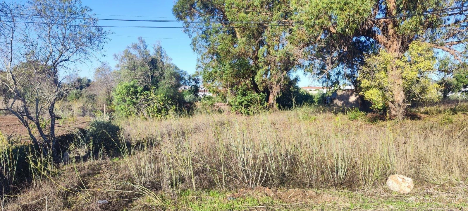 Terreno para Venda em Salir Foto 5