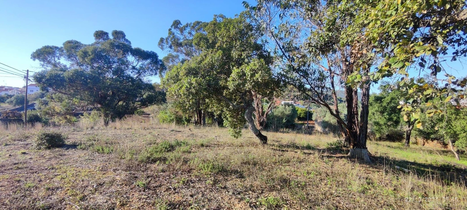 Terreno para Venda em Salir Foto 9