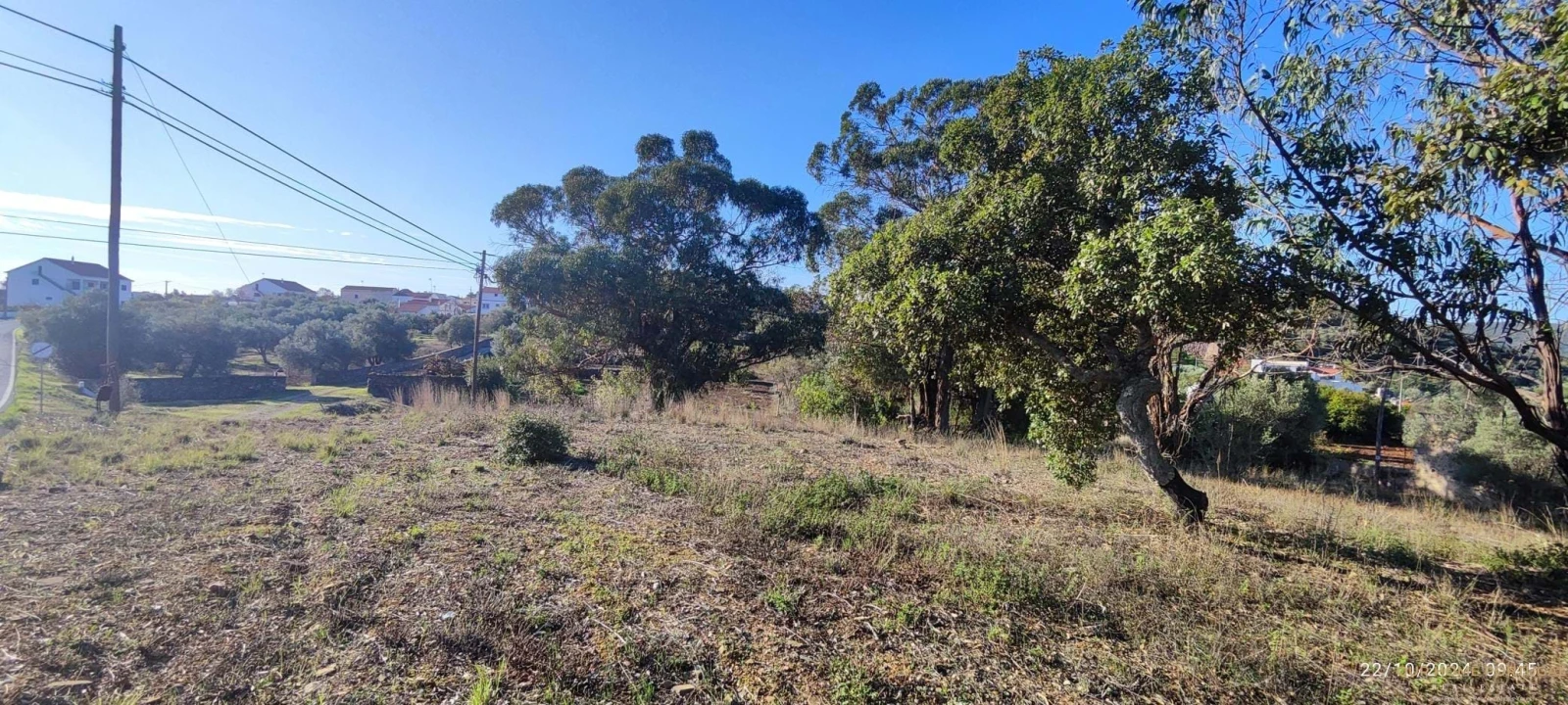 Terreno para Venda em Salir Foto 10