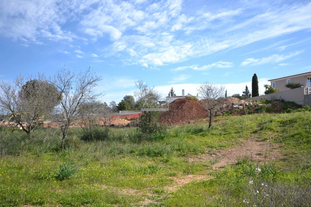 Terreno para Venda em Silves Foto 12