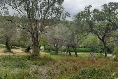 Terreno para Venda em Paderne