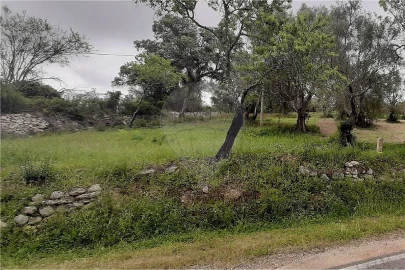Terreno para Venda em Paderne