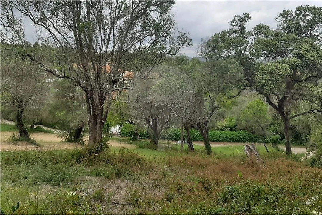 Terreno para Venda em Paderne Foto 2