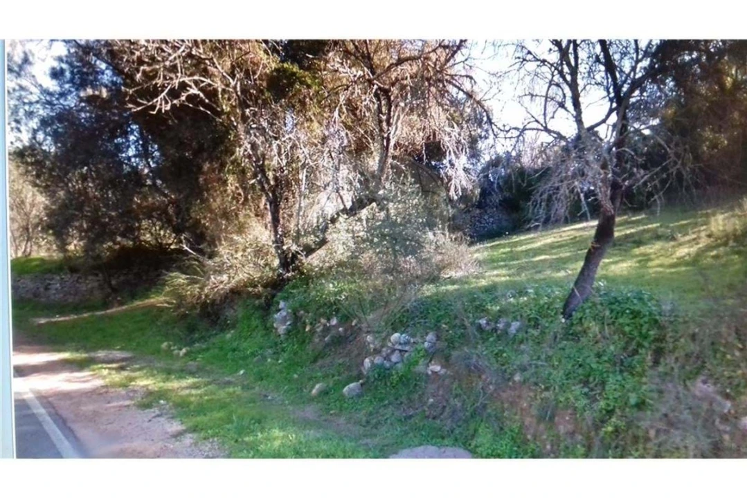 Terreno para Venda em Paderne Foto 4