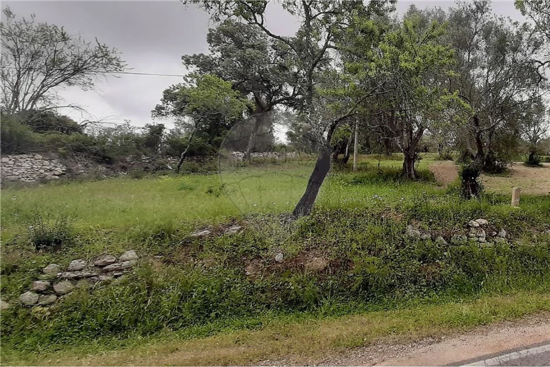 Terreno para Venda em Paderne Foto 1