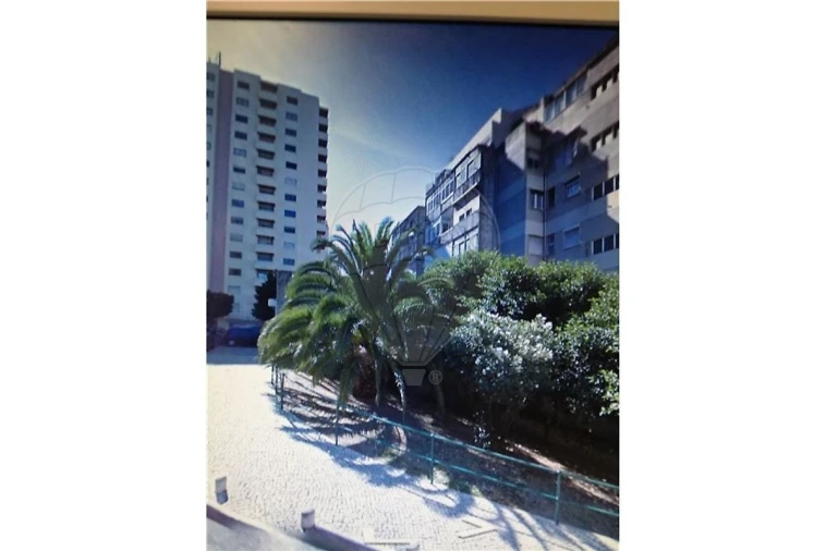 Terreno para Venda em São Domingos de Benfica Foto 2
