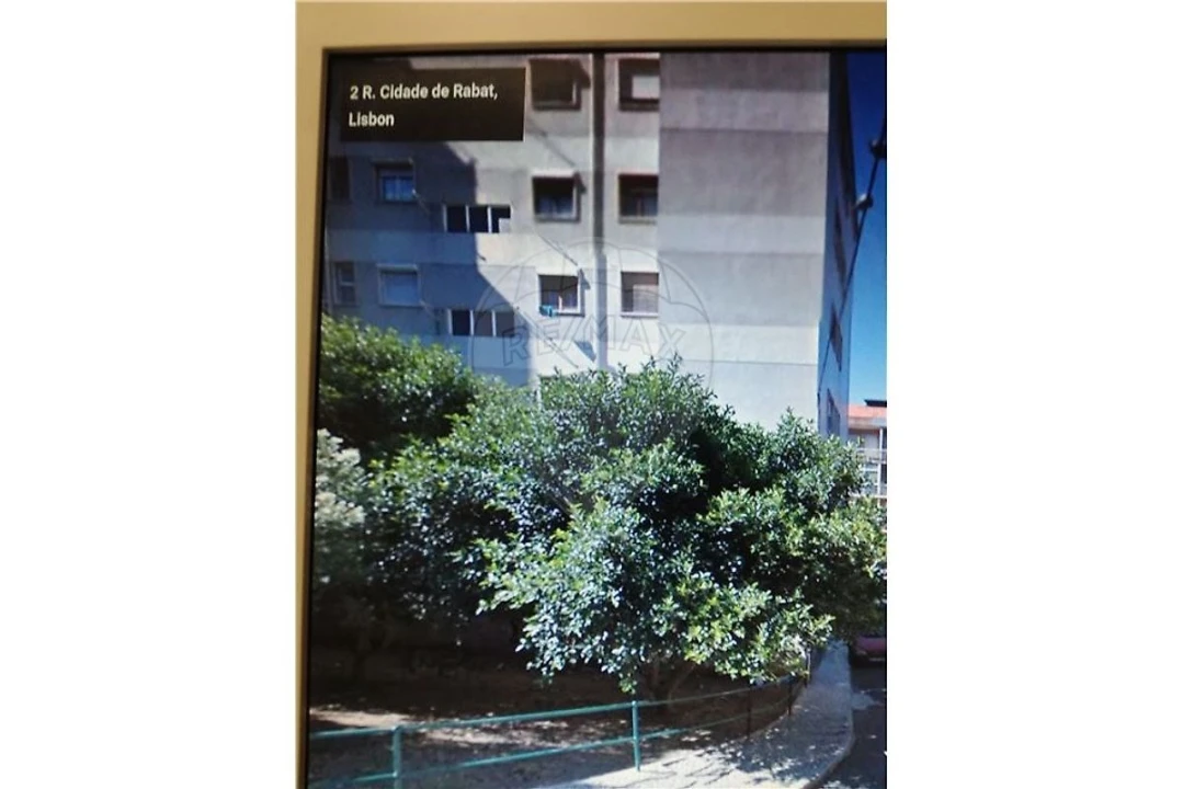 Terreno para Venda em São Domingos de Benfica Foto 4
