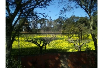 Terreno para Arrendamento férias em Cascais e Estoril