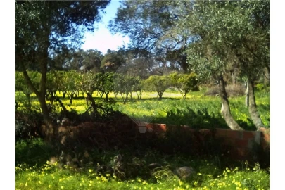 Terreno para Arrendamento férias em Cascais e Estoril