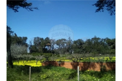 Terreno para Arrendamento férias em Cascais e Estoril