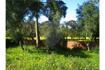 Terreno para Arrendamento férias em Cascais e Estoril