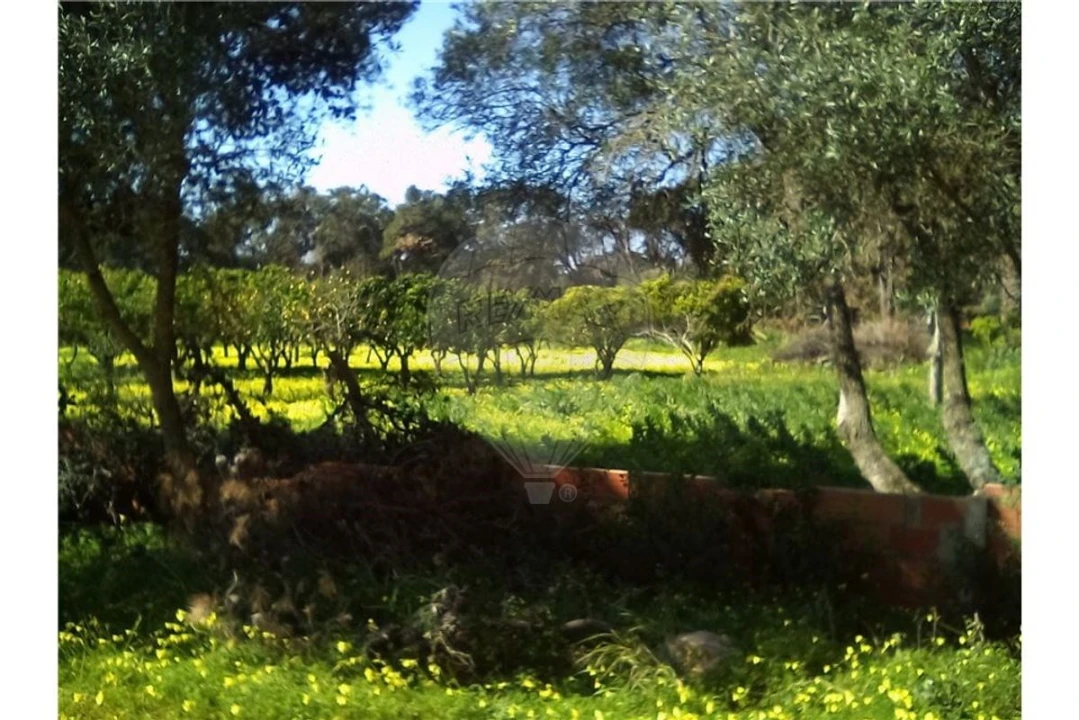Terreno para Arrendamento férias em Cascais e Estoril Foto 10