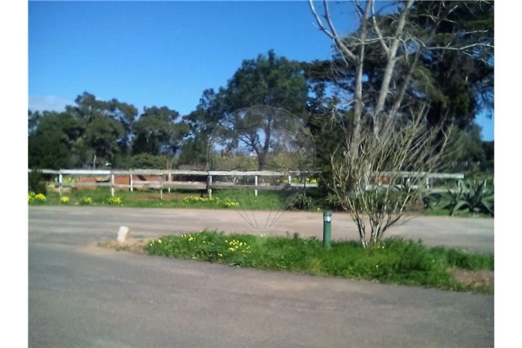 Terreno para Arrendamento férias em Cascais e Estoril Foto 6