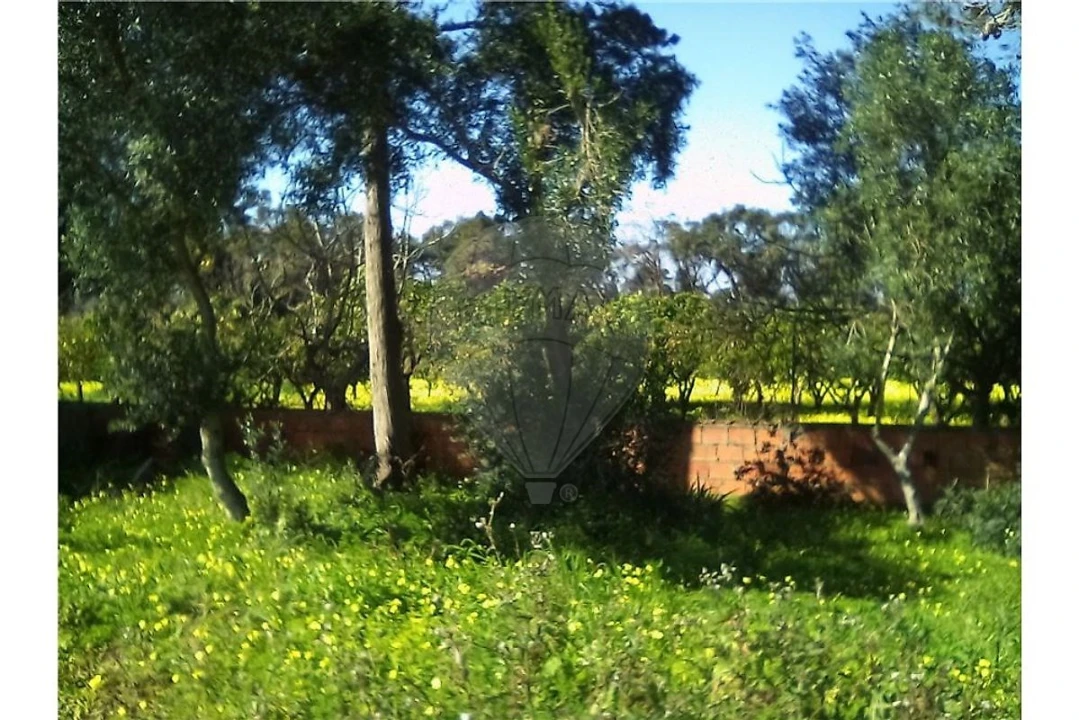 Terreno para Arrendamento férias em Cascais e Estoril Foto 9