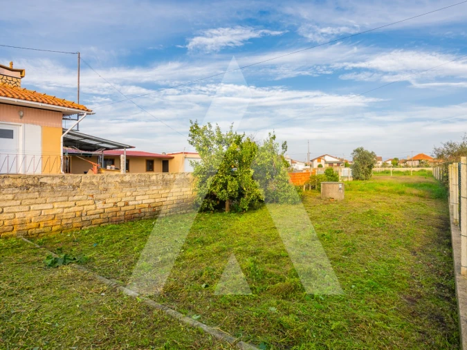 Terreno para Venda em Murtosa Foto 3