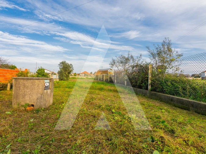Terreno para Venda em Murtosa Foto 5
