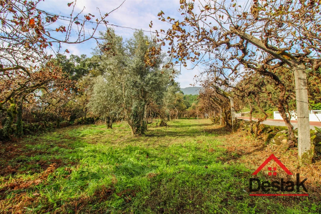 Terreno Misto para Venda em Santa Cruz da Trapa e São Cristóvão de Lafões Foto 10