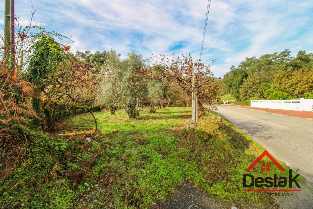 Terreno Misto para Venda em Santa Cruz da Trapa e São Cristóvão de Lafões Foto 9