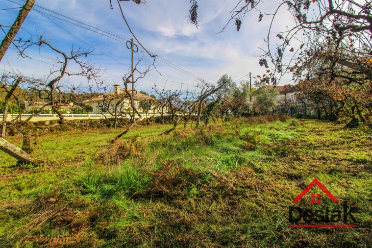 Terreno Misto para Venda em Santa Cruz da Trapa e São Cristóvão de Lafões Foto 11