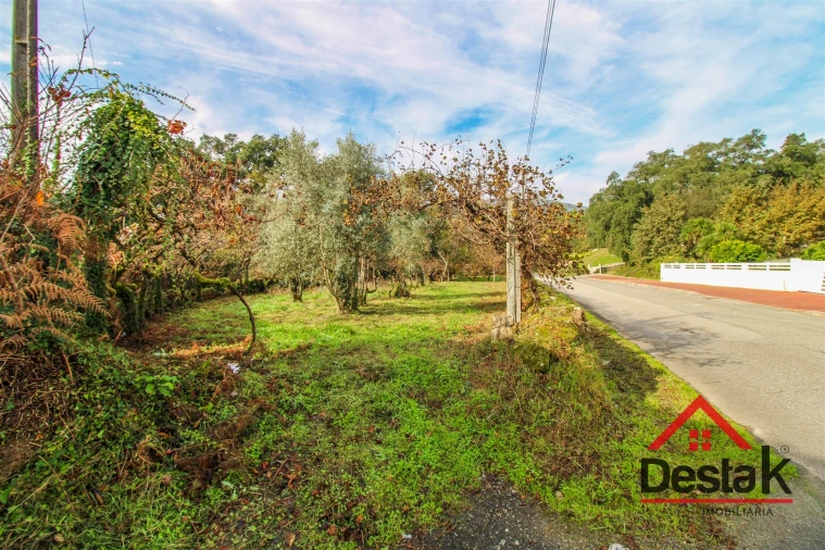 Terreno Misto para Venda em Santa Cruz da Trapa e São Cristóvão de Lafões Foto 9