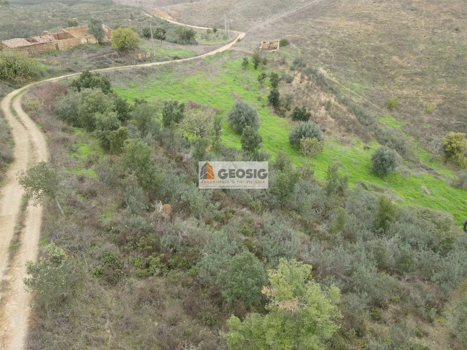 Quinta T0 para Venda em Santana da Serra Foto 6