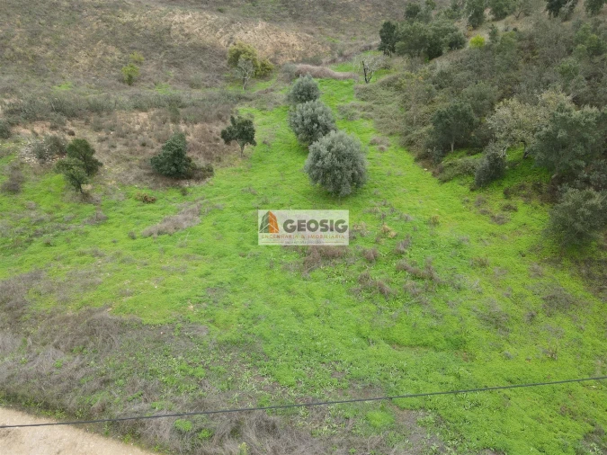 Quinta T0 para Venda em Santana da Serra Foto 9