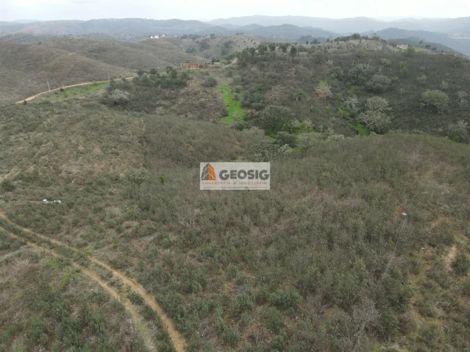 Quinta T0 para Venda em Santana da Serra Foto 18