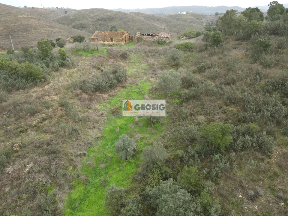 Quinta T0 para Venda em Santana da Serra Foto 21