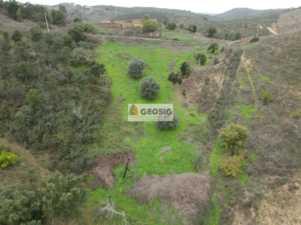 Quinta T0 para Venda em Santana da Serra Foto 12