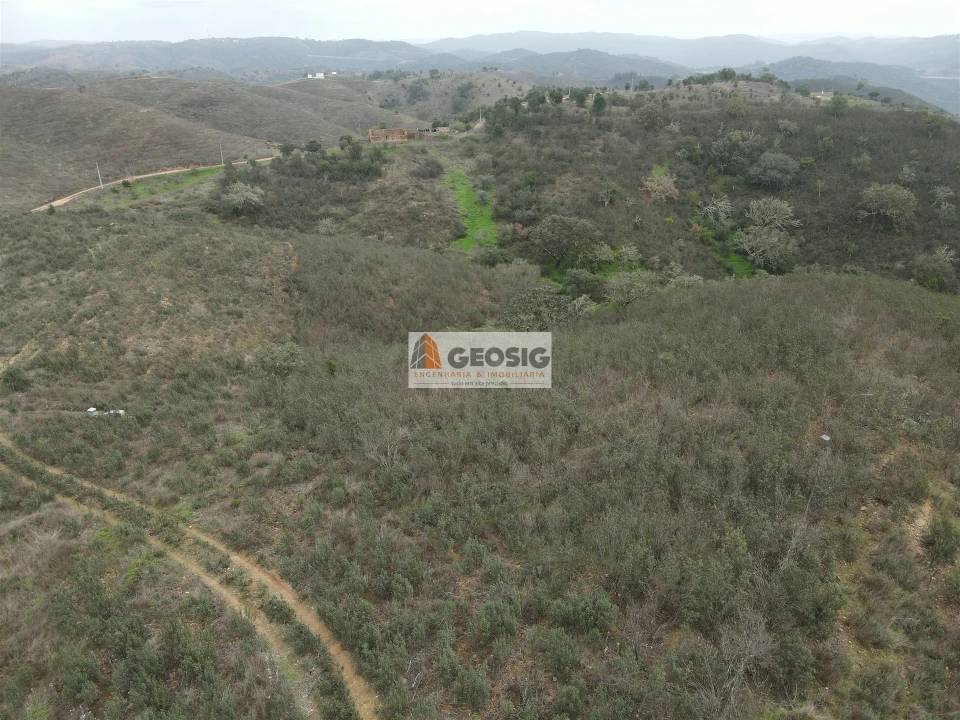 Quinta T0 para Venda em Santana da Serra Foto 18