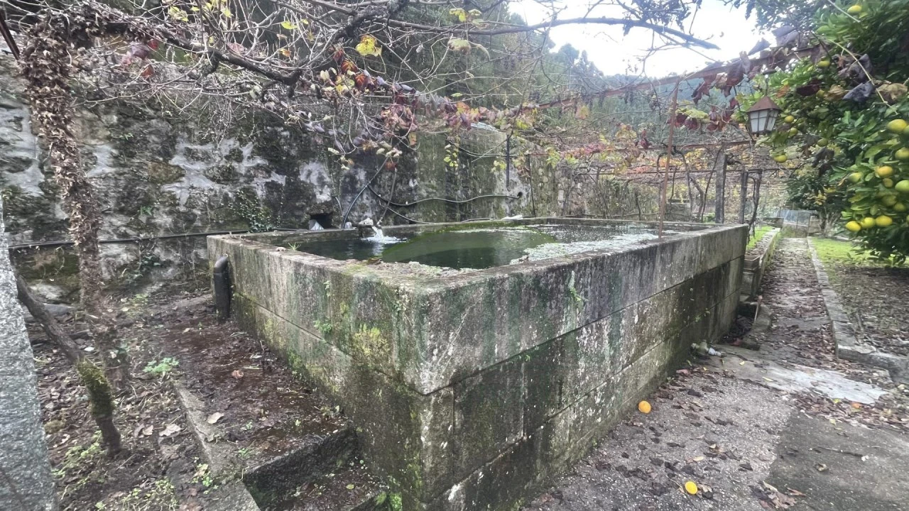 Quinta T4 para Venda em Covas Foto 19