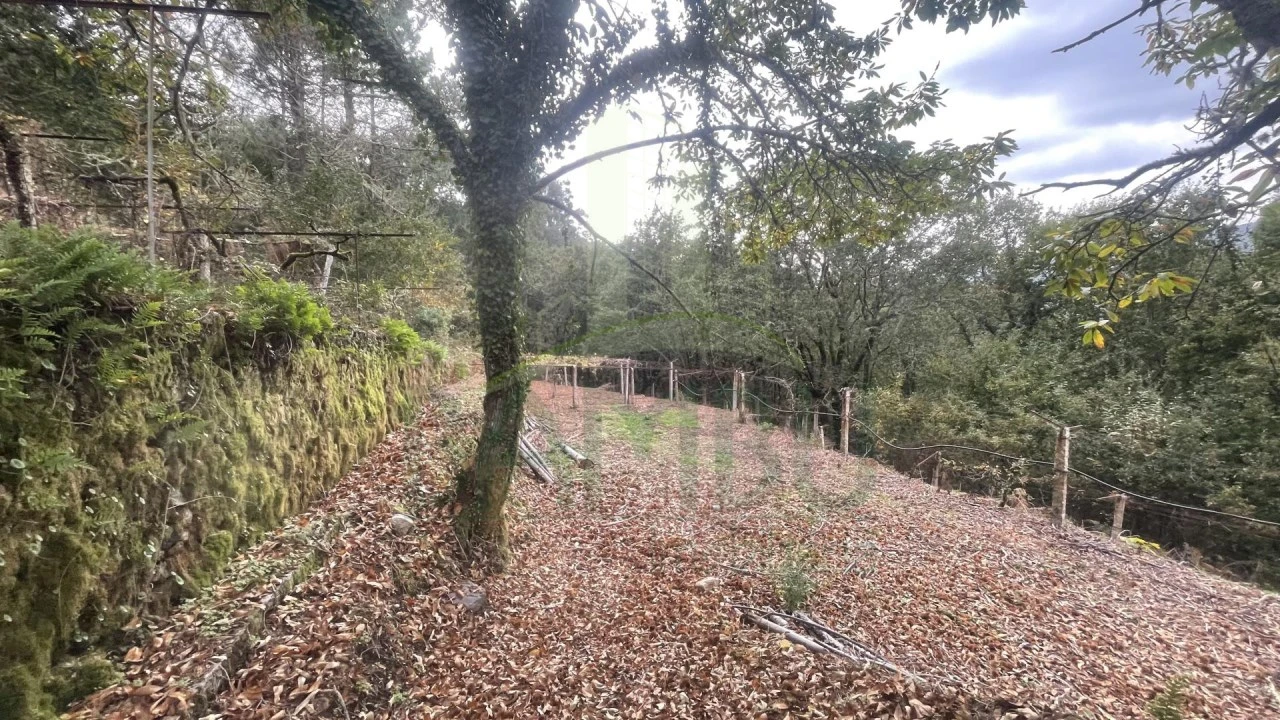 Quinta T4 para Venda em Covas Foto 22