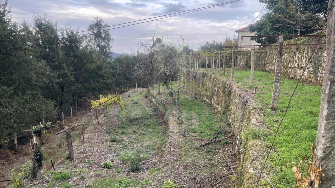 Quinta T4 para Venda em Covas Foto 23