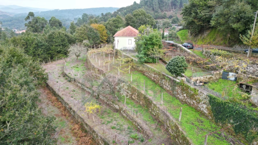 Quinta T4 para Venda em Covas Foto 2