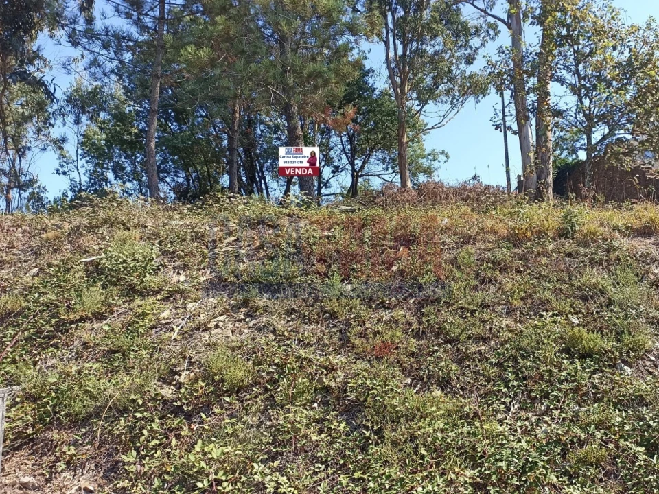 Terreno para Venda em Rates Foto 6