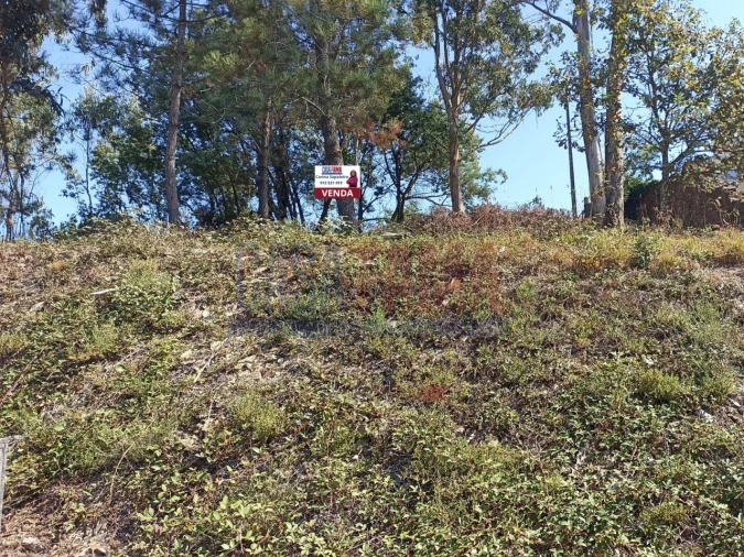 Terreno para Venda em Rates Foto 6