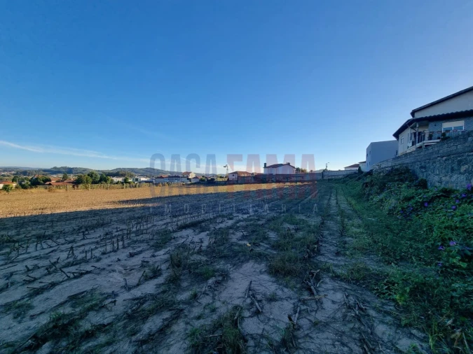 Terreno para Venda em Viatodos, Grimancelos, Minhotães, Monte Fralães Foto 3
