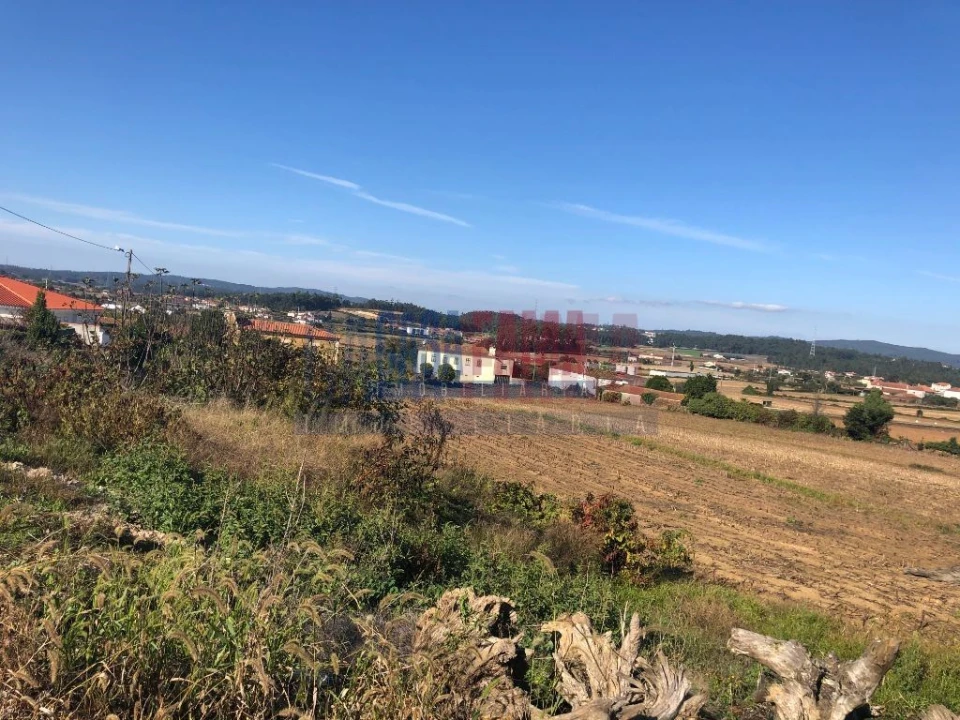 Terreno para Venda em Balazar Foto 4